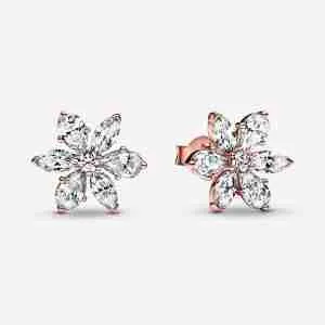 Clous d'Oreilles Herbier Scintillant